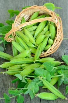 The green peas Stock Photos