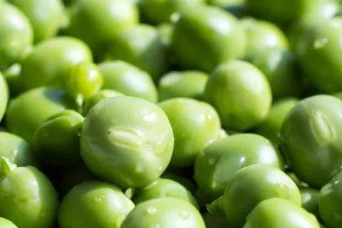 Green peas Stock Photos