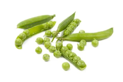 Green peas. Stock Photos