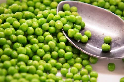 Green peas  . Stock Photos