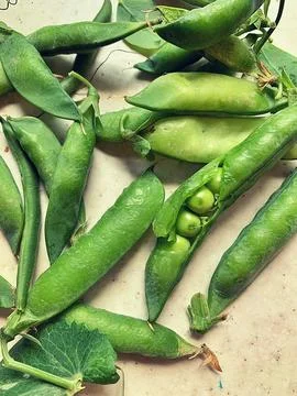 Green peas Stock Photos