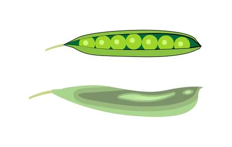 Green peas in pod Stock Illustration