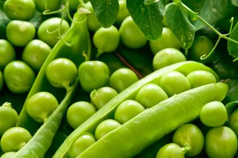 Green peas in the pod Stock Photos
