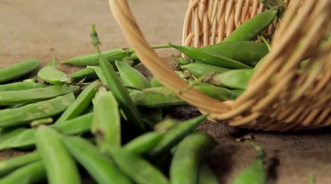 Green peas in a small wicker basket. closeup. de-focused scene. Stock Footage 61215397