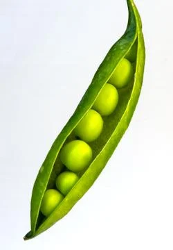 Green peas on the table Stock Photos