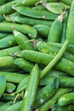 Green Peas in Their Shells, with Selective Focus Foto stock