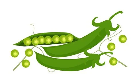 Green Peas Vector Design And Illustration. Illustrazione stock
