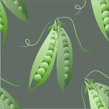 Green peas. Vector seamless pattern. Seamless texture. Seamless pattern with  Stock Illustration