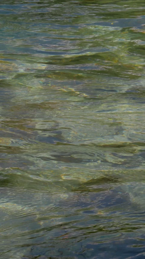 Green Pebbles Under Clear Stream Water Vertical Video 動画素材 346001428