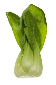 Green pechay Stock Photos