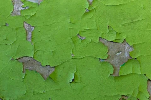 Green peeling paint close-up background and texture Фото
