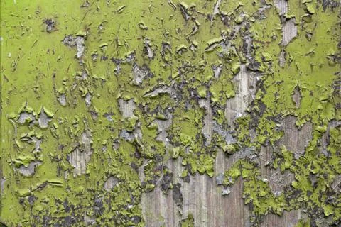Green peeling paint Stock Photos