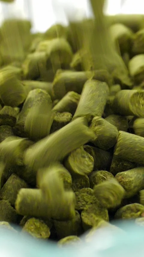 Green pellets of compressed plant material falling into a pile, showcasing Stock Footage 313259353