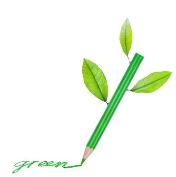 Green pencil Stock Illustration