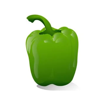 Green pepper 3D vector illustration Stock Illustration
