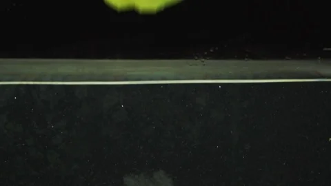 Green pepper drops into the water Video stock 83775787