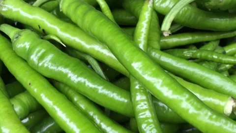 Green pepper Stock Footage 145218555