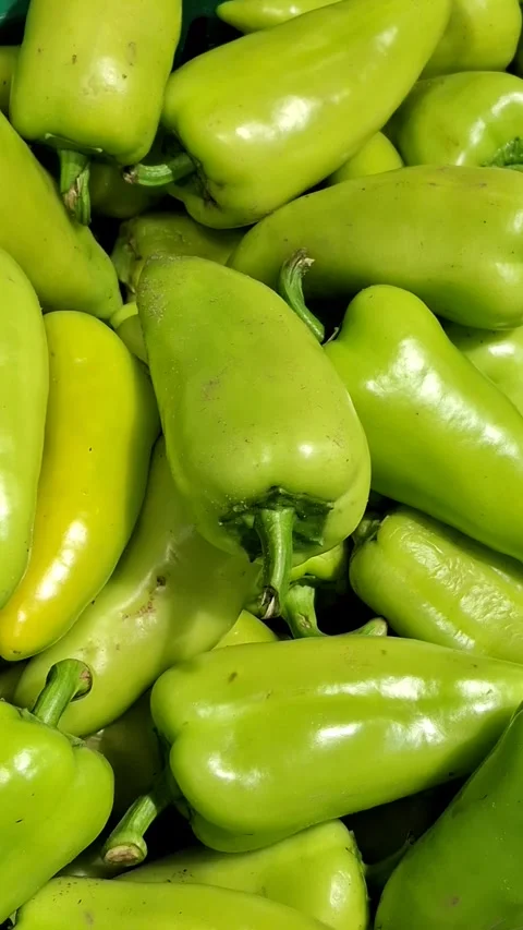 Green pepper Stock Footage 341424056