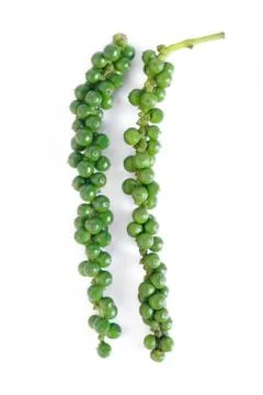 Green pepper grain Stock Photos