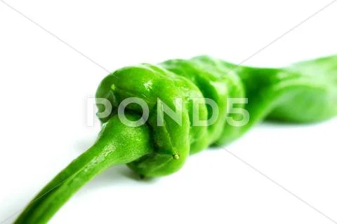Green pepper Stock Photos