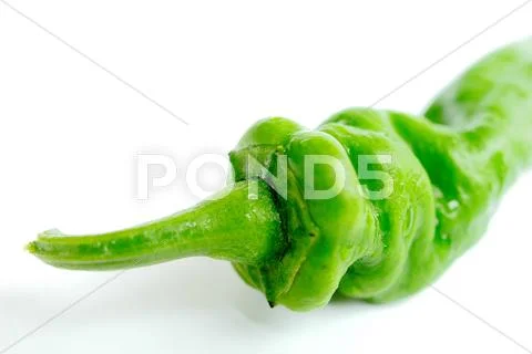 Green pepper Stock Photos