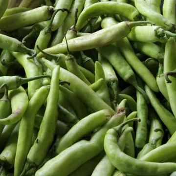 Green Pepper Stock Photos