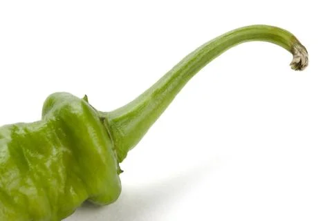 Green pepper Stock Photos