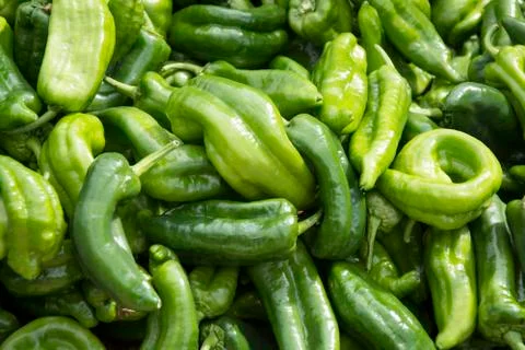 Green pepper Stock Photos