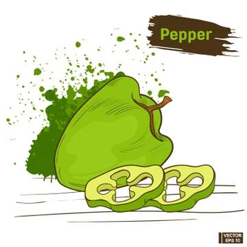 Green pepper, sketch of vegetable Stockillustratie