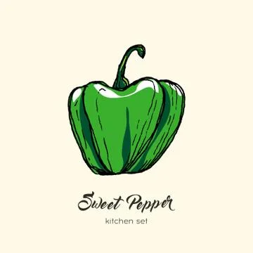 Green pepper vector isolate. Hand drawn illustration sweet bulgarian bell pap Stock Illustration