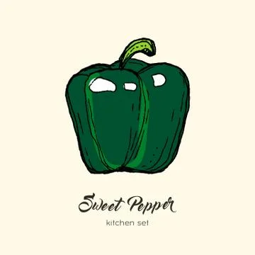 Green pepper vector isolate. Hand drawn illustration sweet bulgarian bell pap Stock Illustration