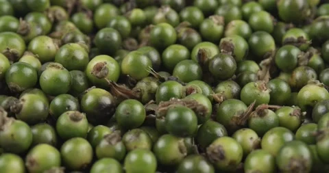 Green peppercorns closeup rotating selective focus Stock Footage 164772668