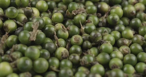 Green peppercorns closeup rotating selective focus Stock Footage 167275695
