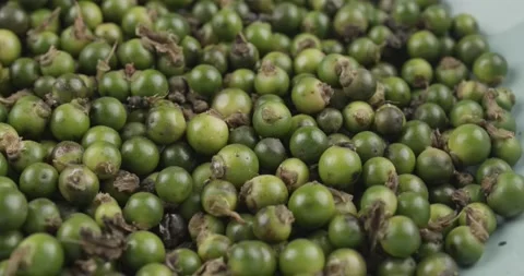 Green peppercorns closeup rotating selective focus Stock Footage 170499192