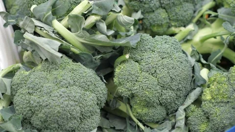 Green peppers are placed in a container at a market stall Stock Footage 186551462