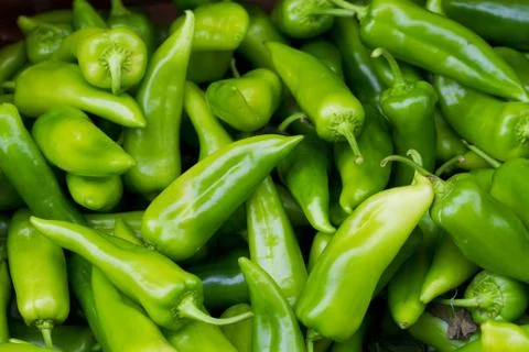 Green peppers Stock Photos