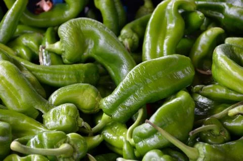 Green peppers 写真素材