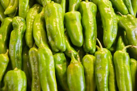 Green peppers Stock Photos