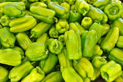 Green peppers 스톡 사진