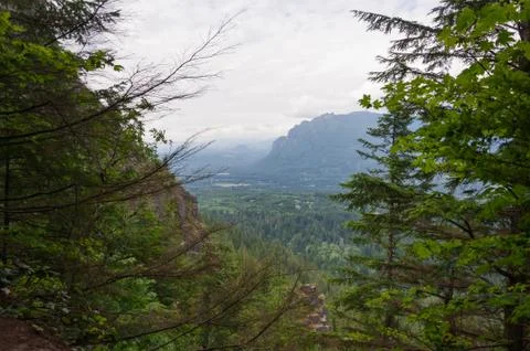 Green Perspective Stock Photos