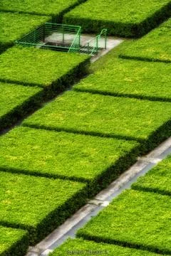 Green perspectives Stock Photos