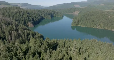 Green Peter Lake Oregon Drone Aerial View Stock Footage 221103745