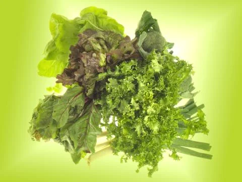 Green Stock Photos