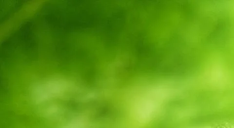 Green Stock Photos