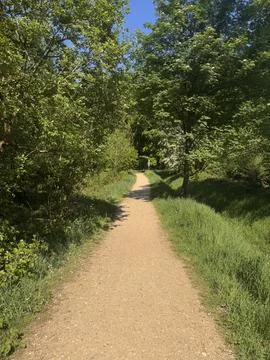 Into the Green 스톡 사진