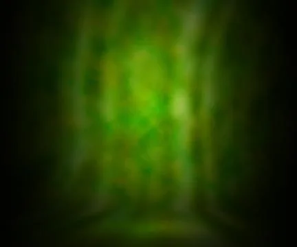 Green photo backdrop 스톡 일러스트