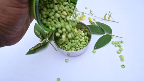 Green pigeon pea slow motion video. Stock Footage 257547284