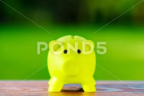 Green piggy bank ecological concept for saving, accounting, banking and busin Stock Photos