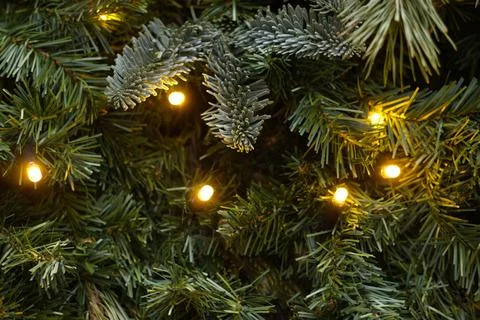 Green pine branch composition with warm holiday lights Stock Photos