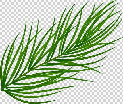 Green pine branches, close-up. Christmas decor and garlands. New Year. Holi.. 스톡 일러스트